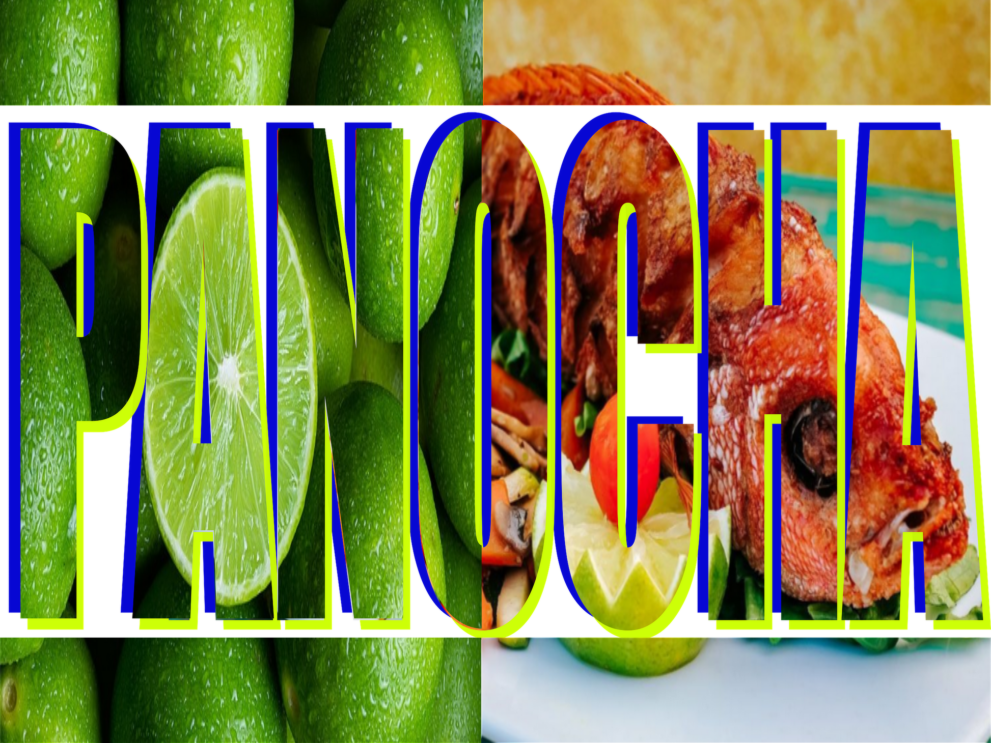 The Panocha Design